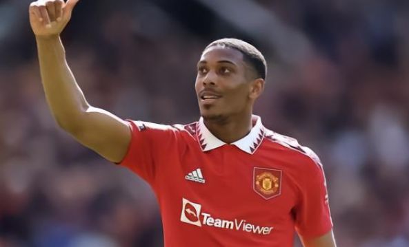 他的表现已 他的表现已